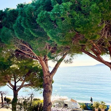 Appartement Les Pieds Dans L'Eau A Cavaliere Le Lavandou Εξωτερικό φωτογραφία