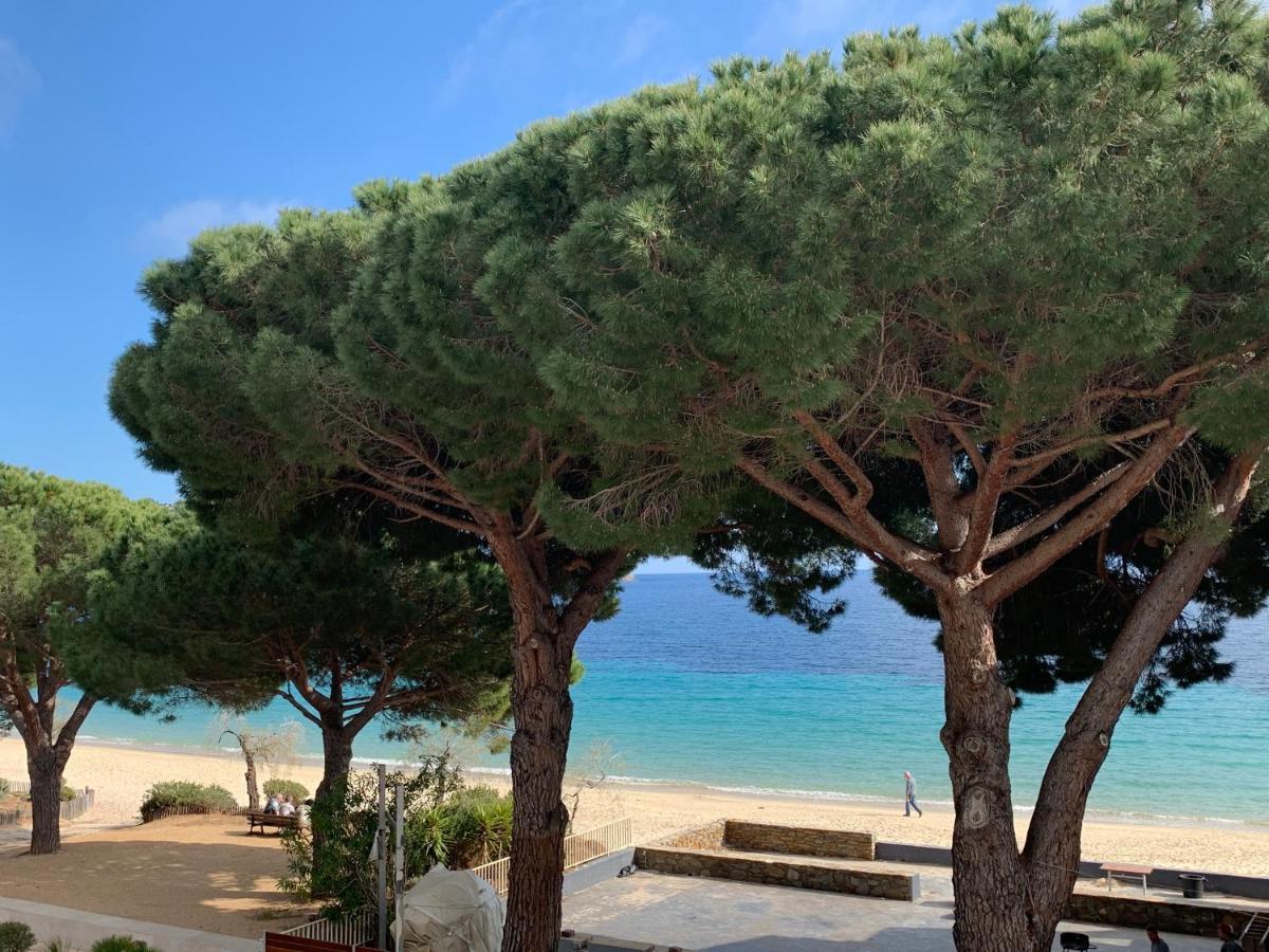 Appartement Les Pieds Dans L'Eau A Cavaliere Le Lavandou Εξωτερικό φωτογραφία